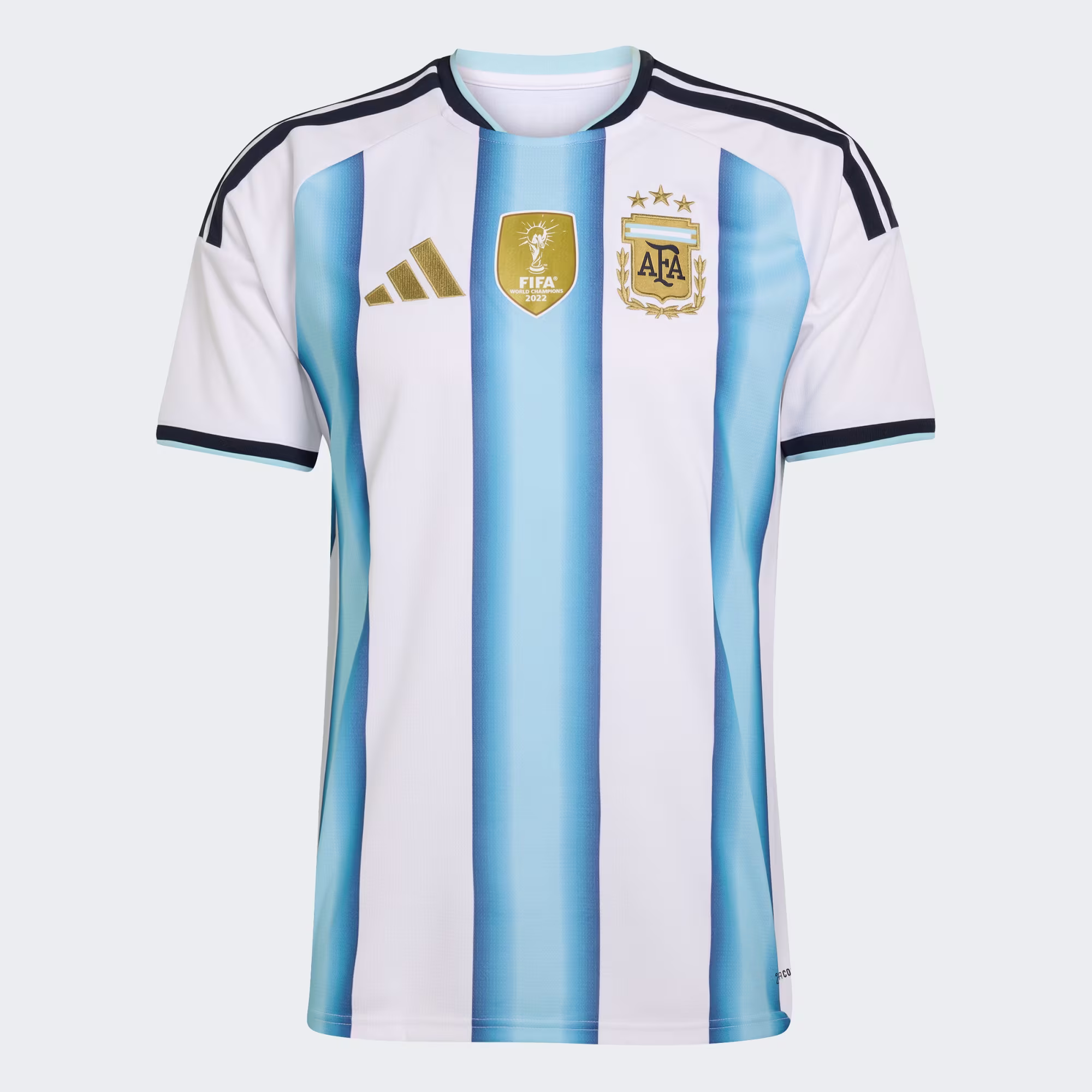 Camisa Argentina 26 I
